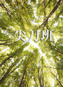 黑白配hd视频